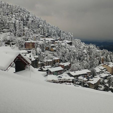Ymca Tourist Hostel Shimla Exteriör bild